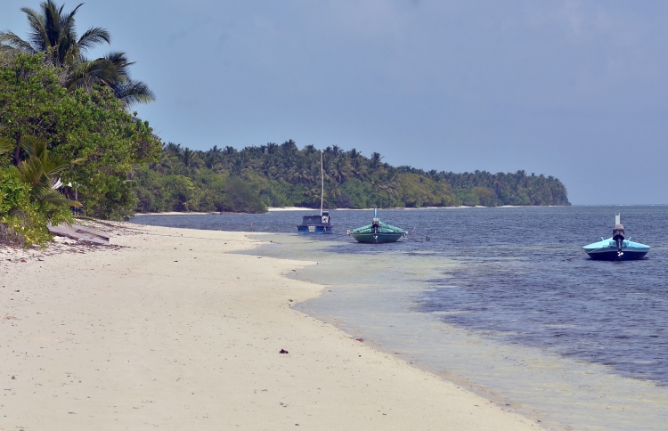 ރަށުން ބޭރަށްދިޔަ މައްސަލައެއްގައި ބަޔަކު ހައްޔަރުކޮށްފި
