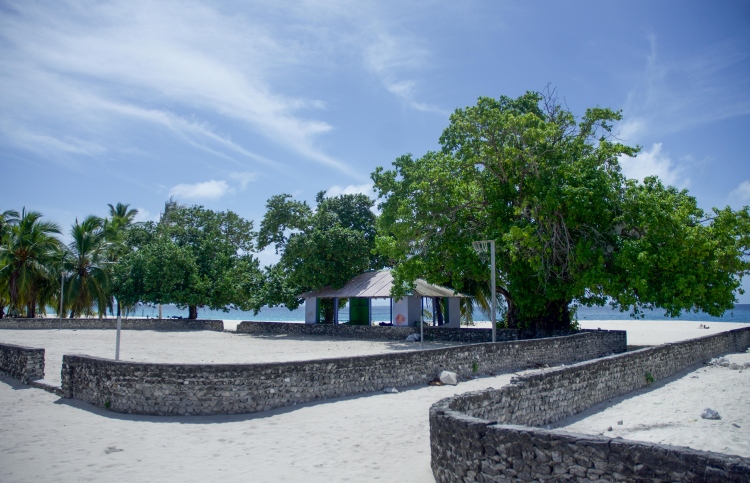 ކައުންސިލްތަކަށް ބިން މިލްކު ކުރެވޭ ގޮތް ހަމަޖައްސައިފި