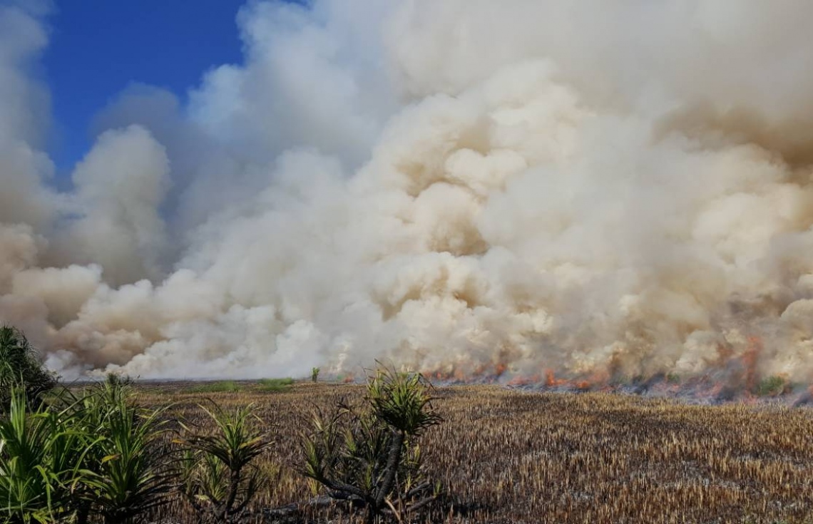ފުވައްމުލަކު ބަންޑާރަ ކިޅީގައި ރޯވެ އަނދައިފި