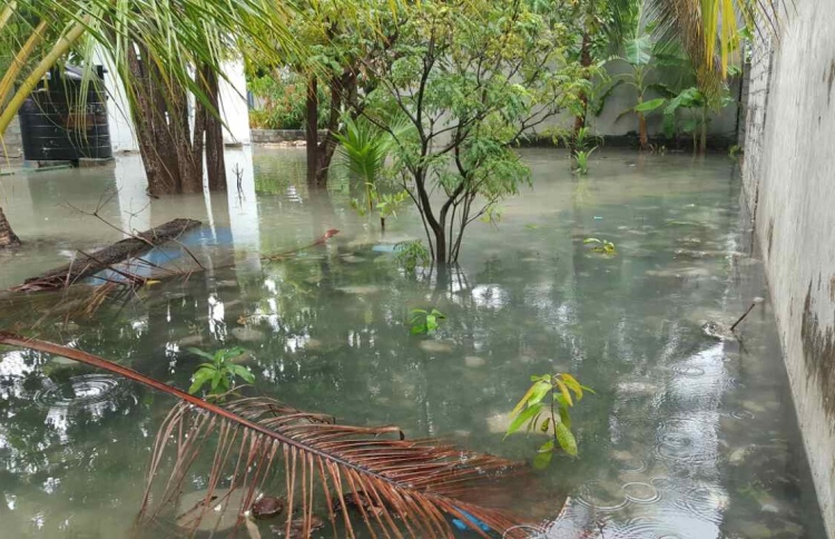 ވިލިނގިލީގައި ފެން ބޮޑުވެ ގެތަކަށް ގެއްލުން ލިބިއްޖެ