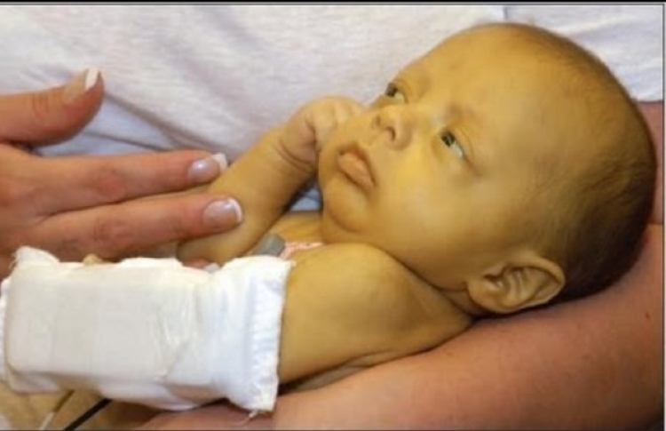 ތުއްތު ދަރިފުޅު ރީނދޫ ވަނީ ކީއްވެ؟