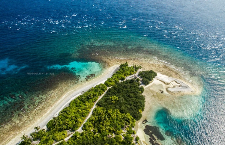 އައްޑޫގައި މޫދަށް އެރުނު ޒުވާނަކު ގެނބިގެން މަރުވެއްޖެ