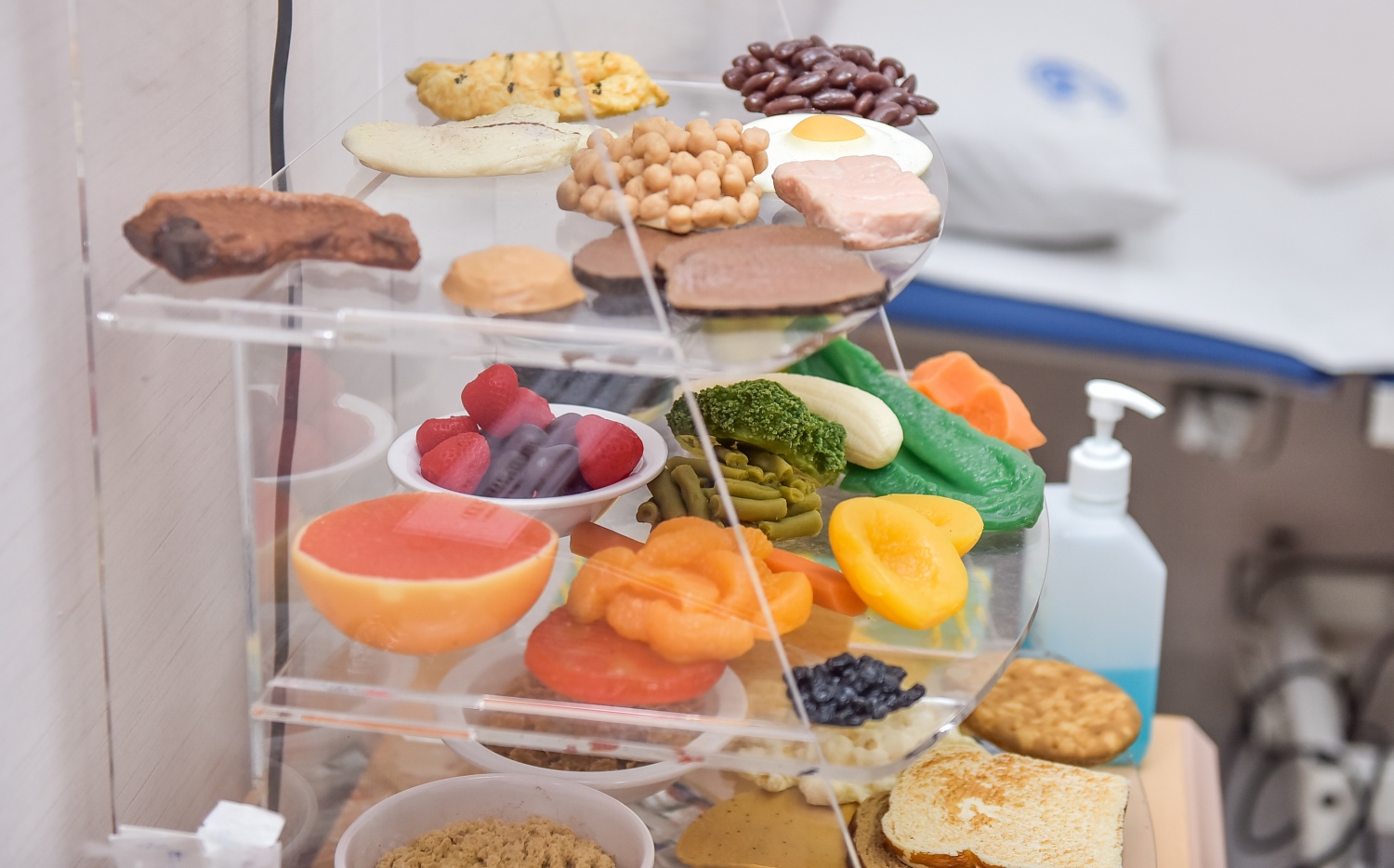 ކާއެއްޗެހީގެ މޮޑެލްތަކެއް: ކެއުމުގައި ހުރިހާ ބާވަތެއްގެ ކާނާ ހިމަނަން ޖެހޭ