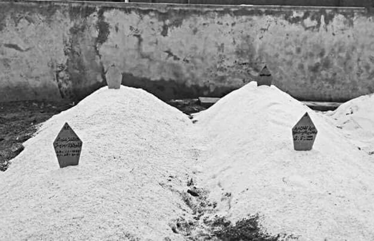 ޖުލައި މަހު ހަމަލާދީ މަރާލާފައިވާ ނަދީމް އަދި އަނަސްގެ މަހާނަ