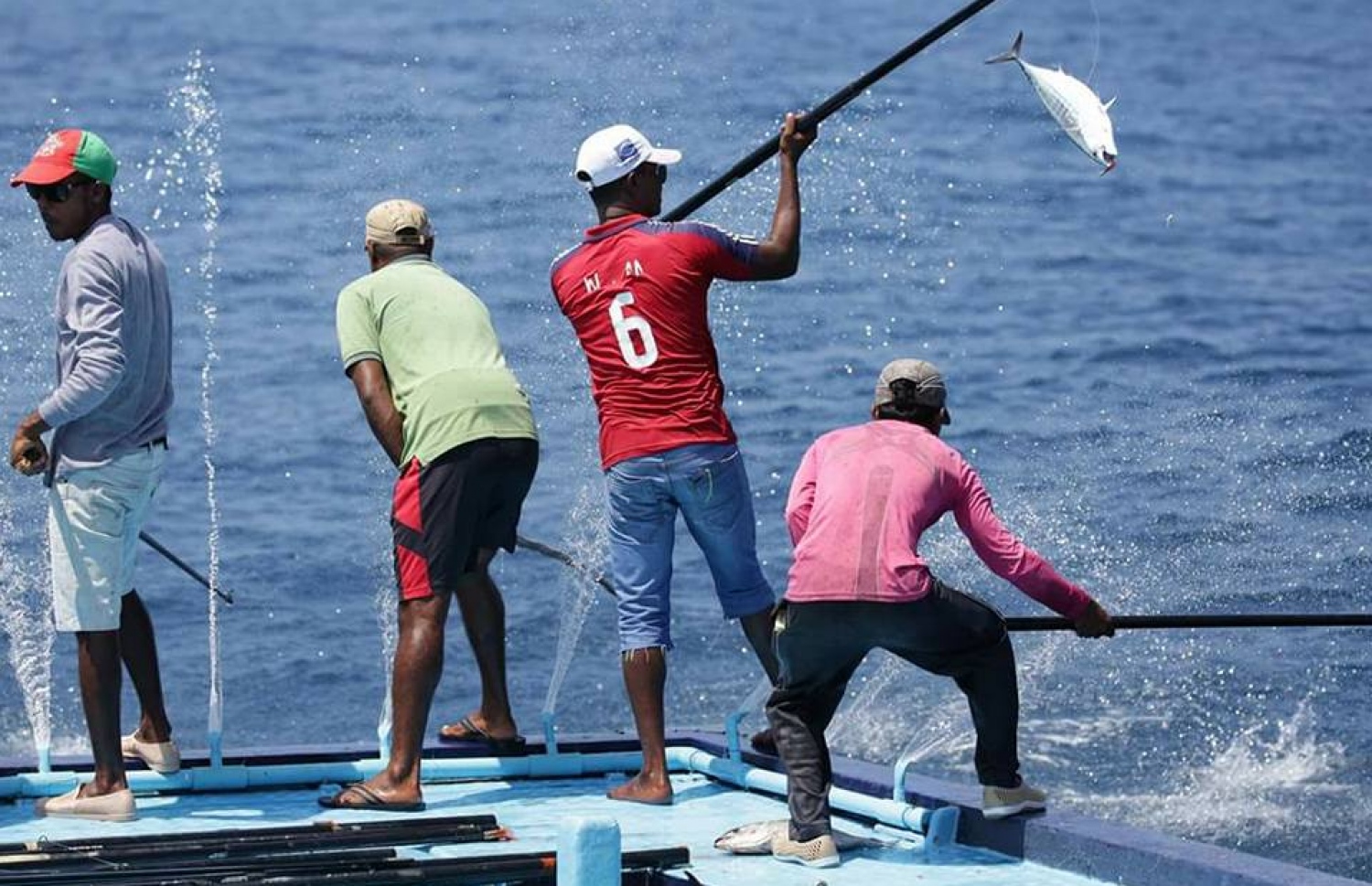 ގެމަނަފުށީ މަސްވެރިން މަސް ބާނަނީ. -- ފޮޓޯ: ގެމަނަފުށީ މަސްވެރިން/ފޭސްބުކް