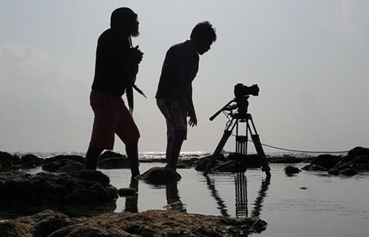 ކުރިއަށް ހުރީ އުންމީދީ ފިލްމުތަކެއް