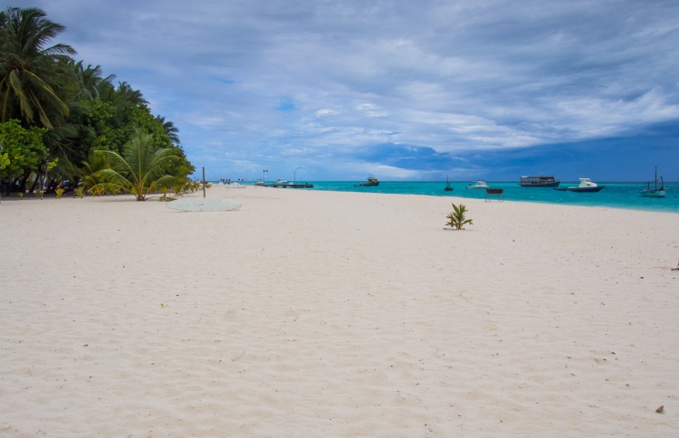 އިންޖީނުލީ އުޅަނދު ދުއްވުން ފުލިދޫގައި މަނާކޮށްފި