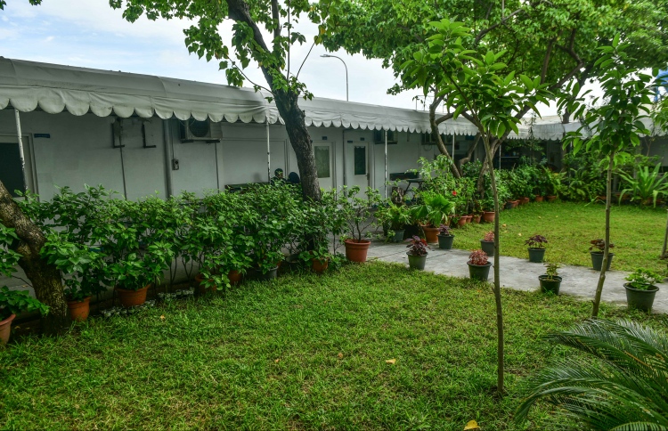 ވިލާ ކޮލެޖުގައި 10 ބުރީގެ އިމާރާތެއް އަޅަނީ