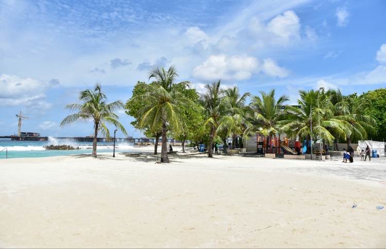 އާޓިފިޝަލް ބީޗް ތަރައްގީކުރަން އެމްޓީސީސީއާ ހަވާލުކޮށްފި