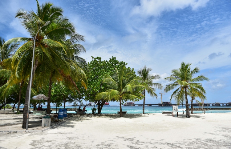 އާޓިފިޝަލް ބީޗް ސަރަހައްދު ތަރައްގީކުރަން ބަންދުކުރަނީ