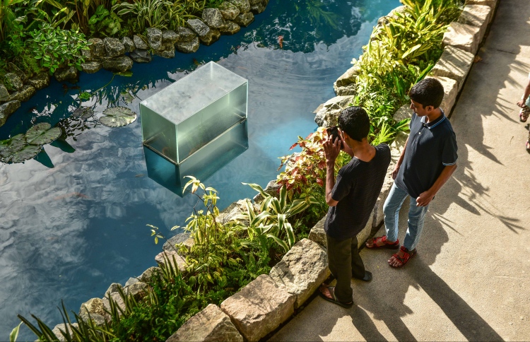 ސަލްޓަން ޕާކު އަލުން ތަރައްގީ ކުރަނީ