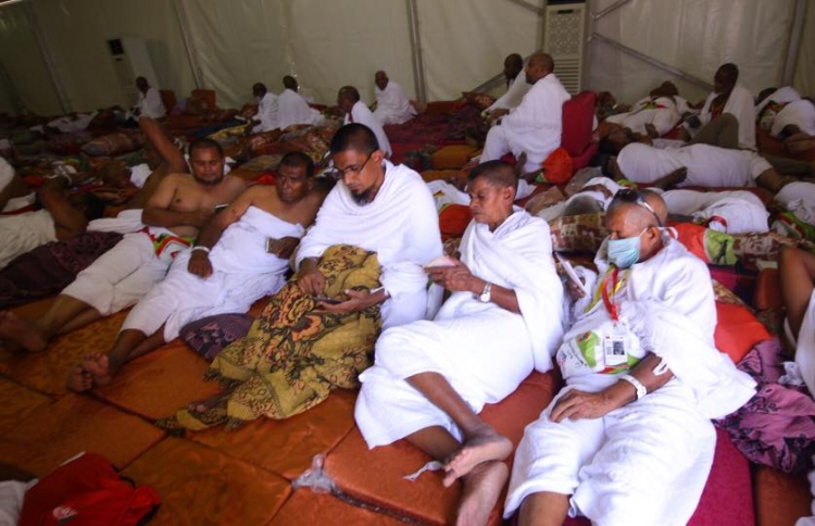 ދިވެހި ހުރިހާ ހައްޖުވެރިން އަރަފާތު ބިމަށް ޖަމާވެއްޖެ