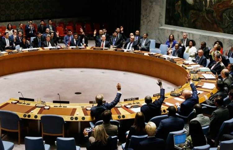 ސެކިއުރިޓީ ކައުންސިލްގެ ގޮނޑި ކާމިޔާބު ކުރެވޭނެ:ޝައިނީ