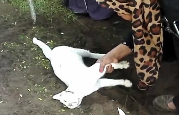 ހުދު ބުޅަލެއް މީހެއްގެ މަހާނަ ކައިރިން ދުރަކަށް ނުދިޔަ