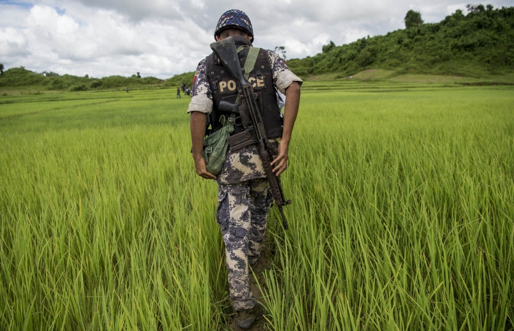 ރޮހިންޖާ މީހުންގެ ބިމުގައި މިއަންމާއިން ހަނޑޫ ހައްދަނީ