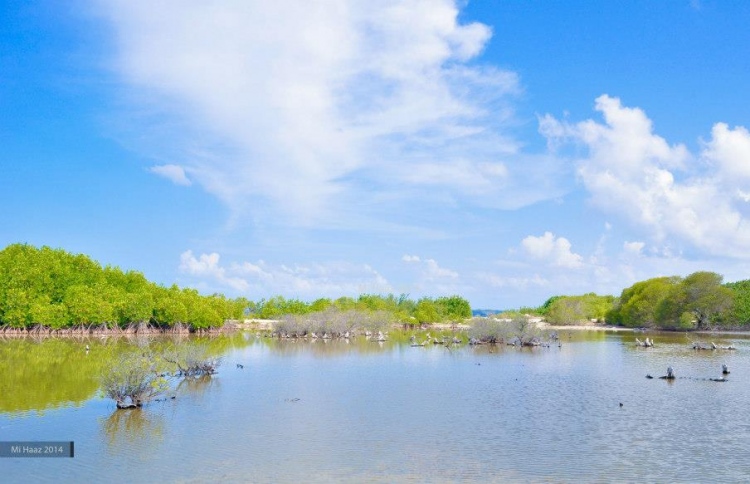 ކުޅުދުއްފުށީ ކުޅި އަންނަ ހަފުތާގައި ހިއްކަން ފަށަނީ