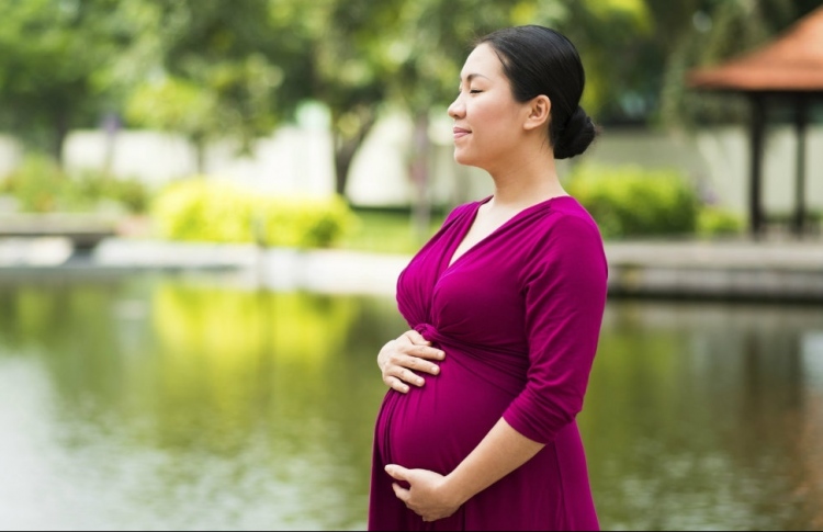 ދަރިމައިވުމުގެ ގާބިލްކަން އިތުރުކޮށްދޭ ބޭހެއް