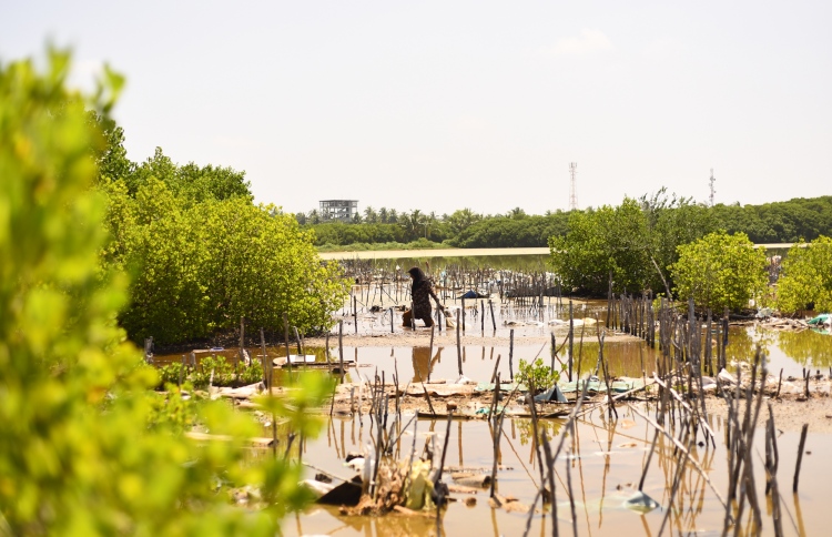 ކުޅުދުއްފުށީ ކުޅިން ގަސްކަނޑަން ހުއްދަނުދޭން އަންގައިފި