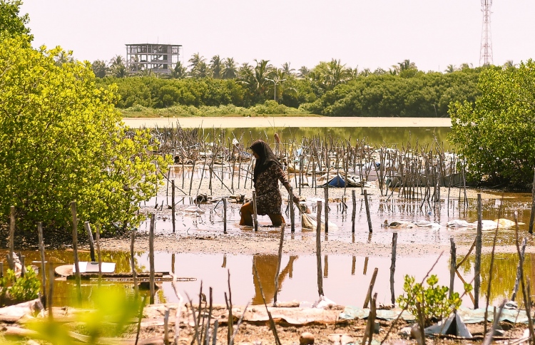 ކުޅުއްދުއްފުޓަށް ކުޅިއެއް ބޭނުމެއް ނޫން!