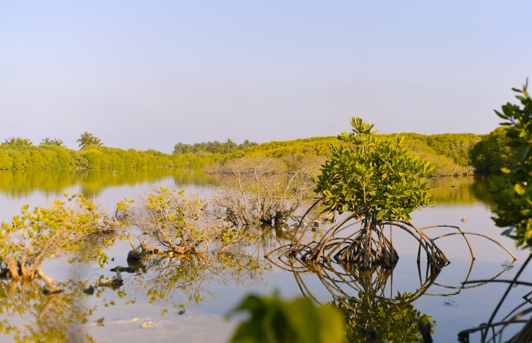 ކުޅިި ހިއްކާތީ ހުށަހެޅި މައްސަލަ ބަލައެއްނުގަތް