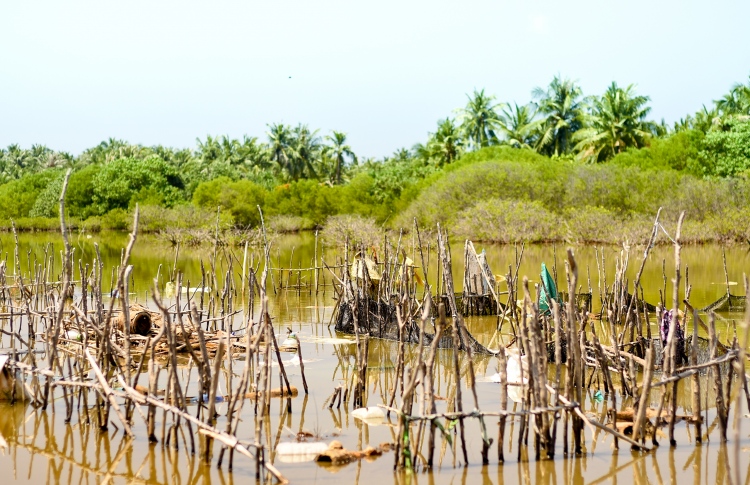 ކުޅުދުއްފުށީ ކުޅިއާ ގުޅޭ ކަންބޮޑުވުންތައް ރައީސަށް