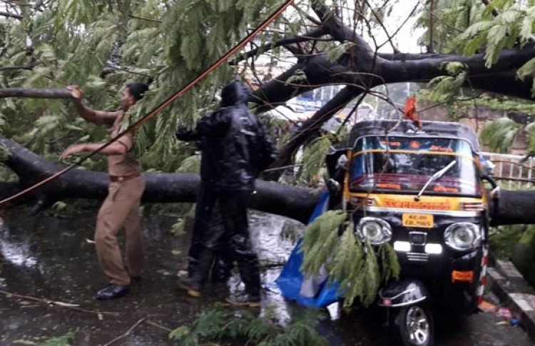 ތޫފާނުގައި ޓަމިލް ނާޑޫން ހަތަރު މީހުން މަރުވެއްޖެ