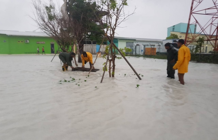 ވާރޭވެހި އުތުރުގެ ގިނަ ރަށްތަކަށް ގެއްލުން ލިބިއްޖެ