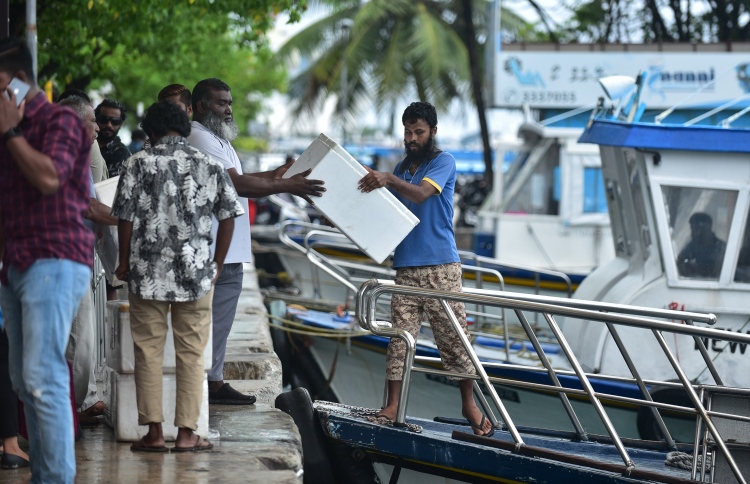 ބައެއް ރަށްރަށަށް ކާޑާއި ގޭސް ފޯރުކޮށްދޭން ފަށައިފި
