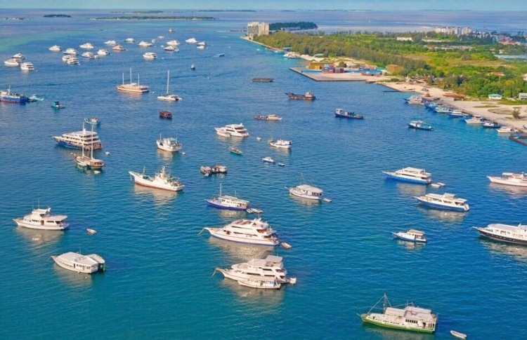 އެފްޓީއޭއާއެކު ސަފާރީ ޓޫރިޒަމް ގެއްލުމުގެ ބިރުބޮޑުވެއްޖެ