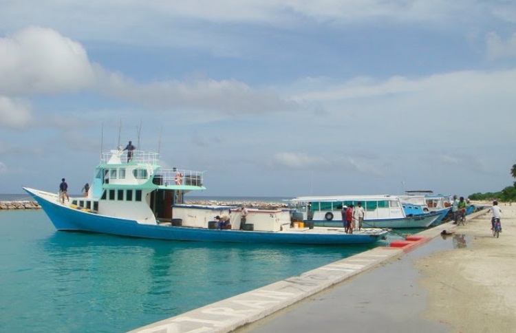 ޕޯސްޓްމޯޓަމަށް ޝާހިދާގެ ހަށިގަނޑު އިންޑިއާއަށް