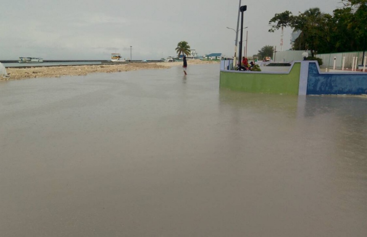 ގައްދޫގަ ހިނގި އެކްސިޑެންޓެއްގައި ސީރިއަސް އަނިޔާތަކެއް