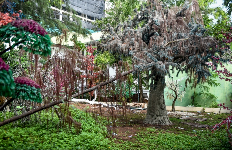 ސިޓީ ޕާކް، އެންމެ ފަހުން ޕޫލް ތީމް ޕާކަކަށް ހަދަނީ