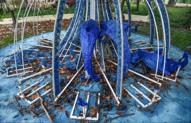 މިނިވަން 50ގެ ލެޑް ގަސްތައް ހަލާކުވާން ދޫކޮށްލާފައި