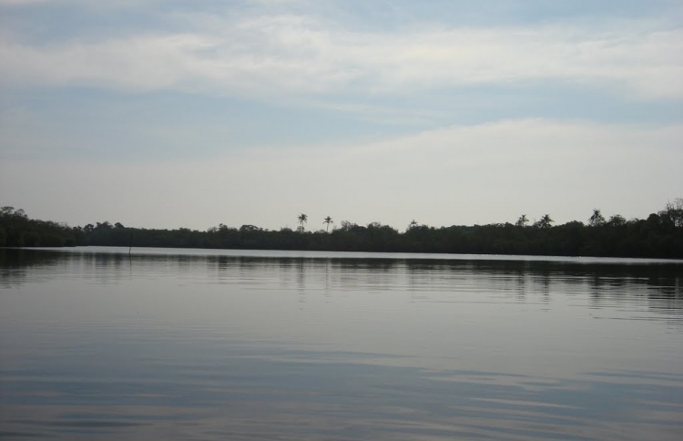 ޝާހިދާ ފިރިމީހާގެ ބަންދަށް 15 ދުވަސް