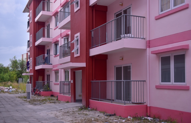 ފްލެޓް ދޫކުރުން ލަސްވަނީ ބިންކޮޅަށް ގޮތެއް ނުނިމިގެން