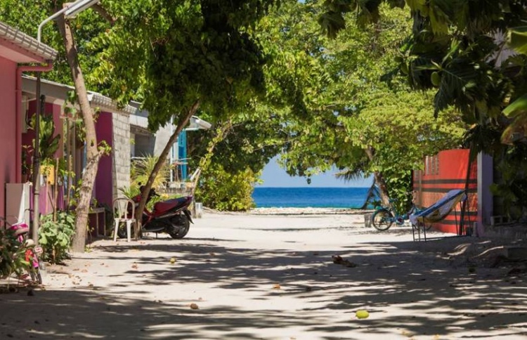 މާފުށީ ކައުންސިލަރުންގެ ސަސްޕެންޝަން އުވާލައިފި