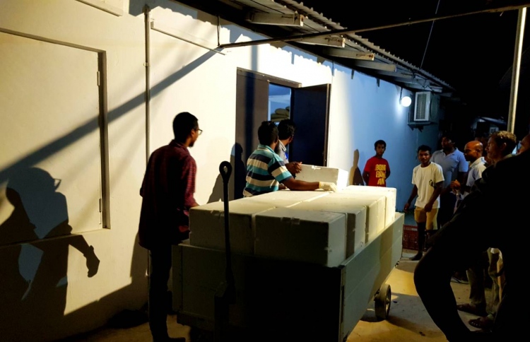 އޮޕަރޭޝަން ހިންގަނީ ސުލްހަވެރިކަމާއެކު: ކަސްޓަމްސް