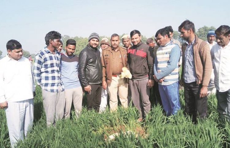 ގިނިހިލައެއްކަމަށް ހީކުރި އެތި ވީ ނަޖިސްގަނޑަކަށް