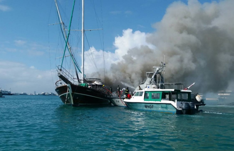 ސަފާރީއެއްގައި ރޯވެ ބޭނުން ނުކުރެވޭ ވަރަށް އަނދައިފި