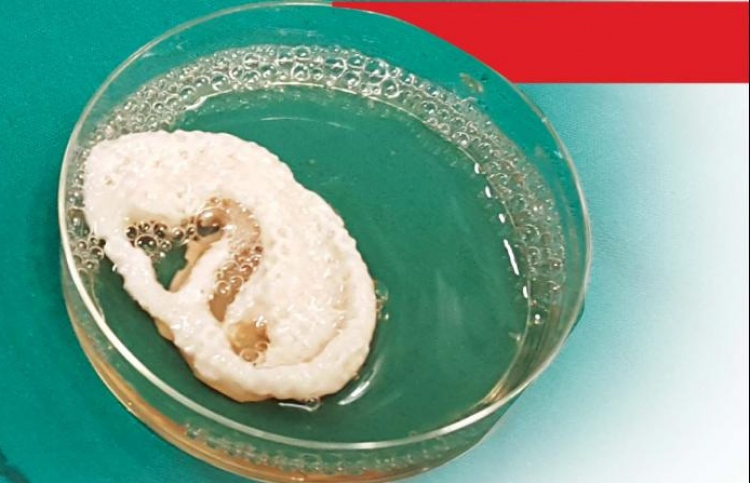 ޗެންނާއިގެ ޑޮކްޓަރުން ލެބޯޓްރީގައި ކަންފަތެއް ހައްދައިފި