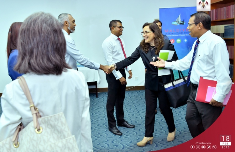 އދ. ގެ ވަފުދުން ސަރުކާރާ މަޝްވަރާ ކޮށްފި