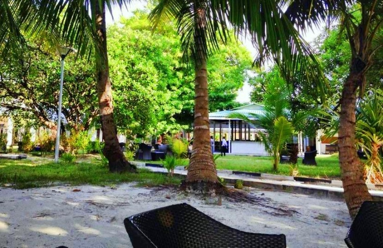 ގަމުގެ ދޫގަސް ތަރައްގީކޮށް އަލުން ހުޅުވަނީ