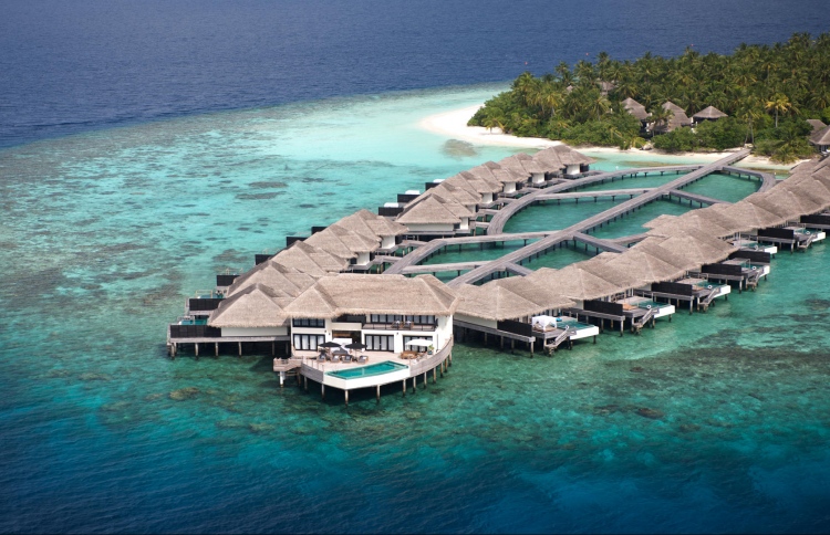 އެނދު އިތުރުވުމާ އެކު ގޮންޖެހުންތައް ބޮޑުވާނެ