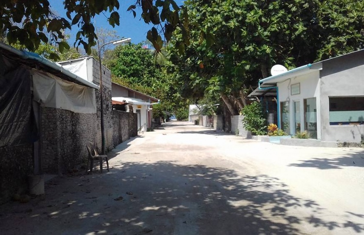 ޝާހިދާގެ ހަށިގަނޑު ރާއްޖެ ގެނެސް ވަޅުލައިފި