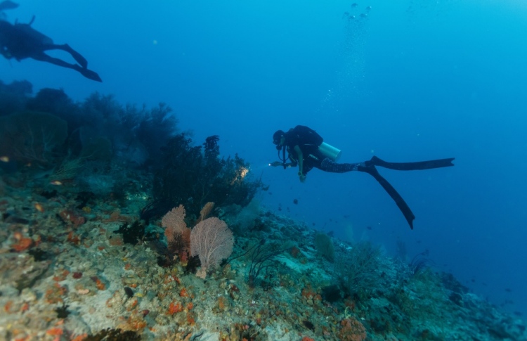 ޓޫރިސްޓުގެ ފައިން ބުރިވި ބައި ނުފެނުނު!