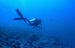 Photograph showing a Maldivian diver, exploring the underwater beauty of Maldives. PHOTO: MIHAARU