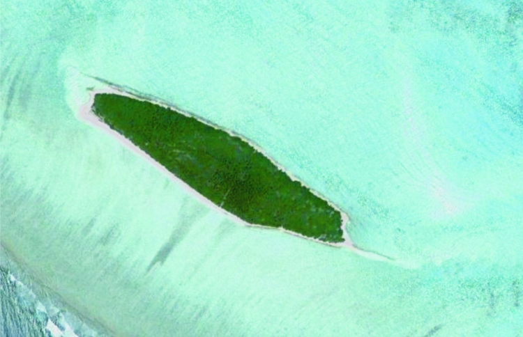 ހޯރަފުށީ އެއާޕޯޓަށް ބޭނުންވާ ބިން ހިއްކަން ހުރަސްތަކެއް