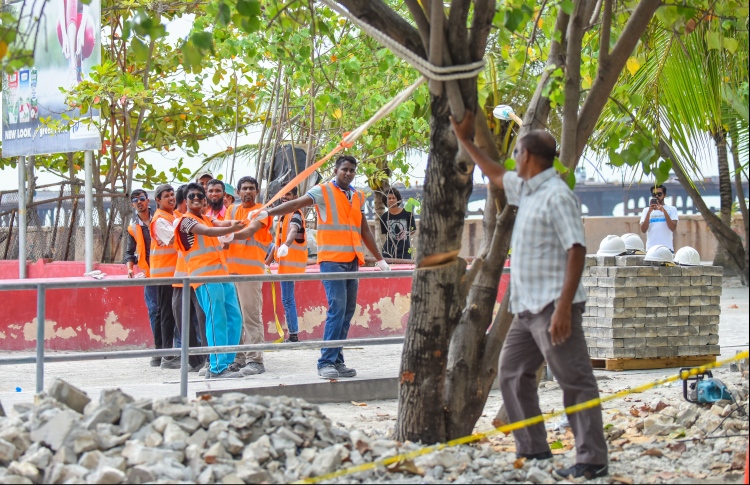 ބިދޭސީން ގެތައް ކުއްޔަށް ނަގައިގެން ވިޔަފާރި ކުރަނީ