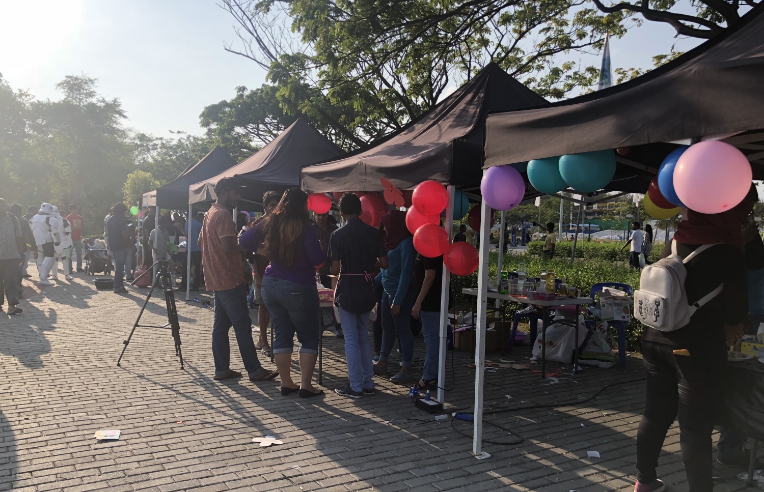 ސައިން-ޓެކް ފެސްޓިވަލްގެ ތެރެއިން.-- ފޮޓޯ: މިހާރު