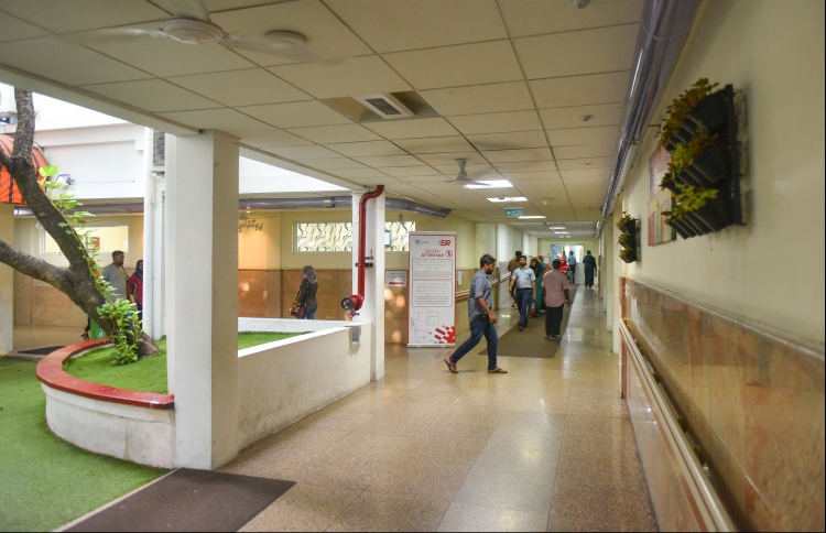 އައިޖީއެމްއެޗްގެ އިންޓާންޝިޕް ޕްރޮގްރާމް އިއުލާންކޮށްފި